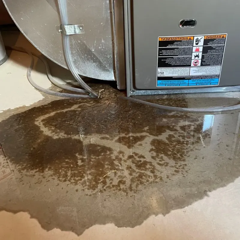 Pipe Burst and Leak Restoration in Ogden, IA